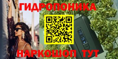 сатива Можга