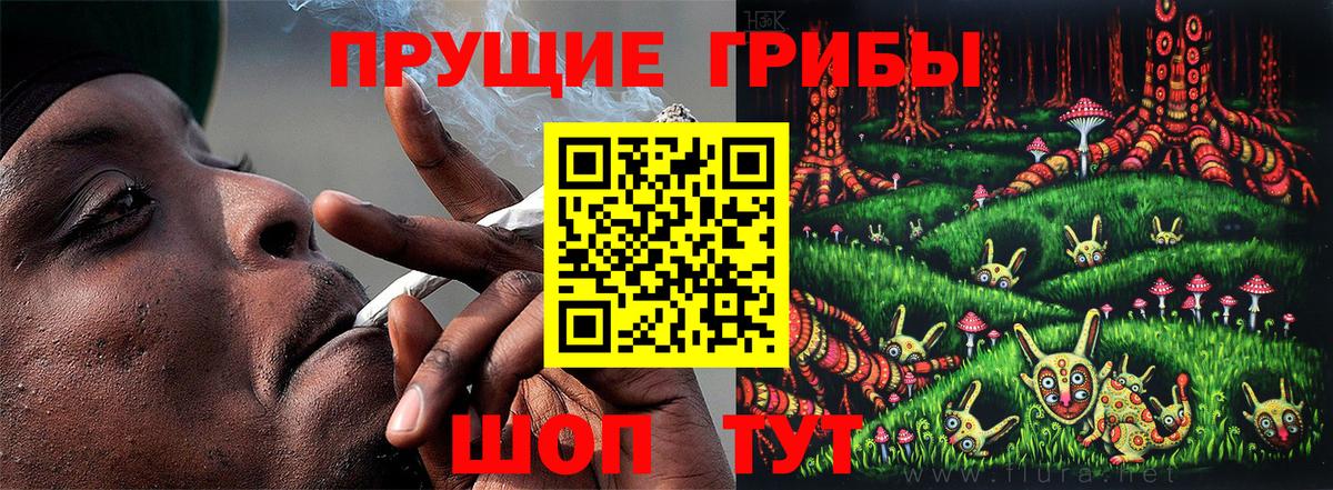 Чехов  Галлюциногенные грибы Cubensis  Вход с VPN  закладка  Галлюциногенные грибы Psilocybine cubensis 